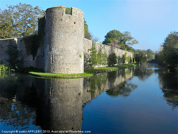 BISHOPS PALACE WALL MOAT WELLS Picture Board by austin APPLEBY