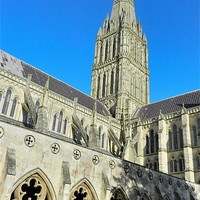 Buy canvas prints of SALISBURY CATHEDRAL SPIRE AND CLOISTER by austin APPLEBY