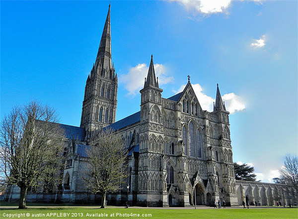 SALISBURY CATHEDRAL Picture Board by austin APPLEBY