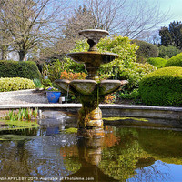 Buy canvas prints of SPRING GARDEN FOUNTAIN AND POND by austin APPLEBY