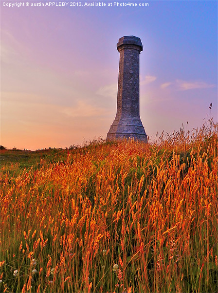 THE HARDY MONUMENT AT DUSK Picture Board by austin APPLEBY