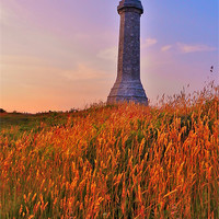 Buy canvas prints of THE HARDY MONUMENT AT DUSK by austin APPLEBY
