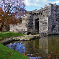 Buy canvas prints of FALLING LEAVES AT BEAUMARIS CASTLE by austin APPLEBY