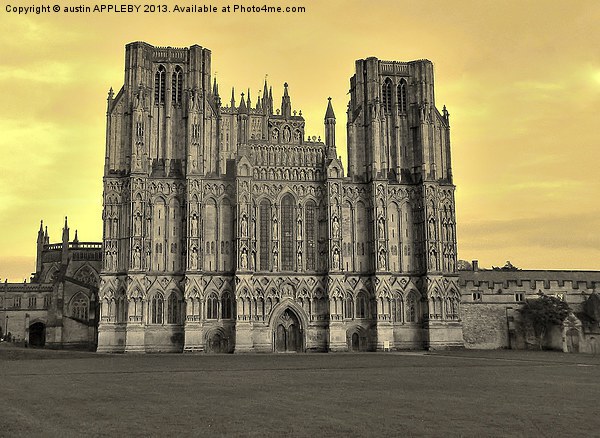 SEPIA WELLS CATHEDRAL WEST FRONT Picture Board by austin APPLEBY