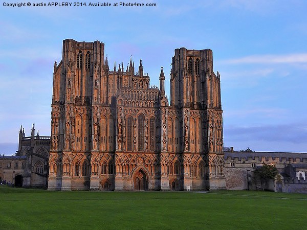 WINTER SUNSET ON WELLS CATHEDRAL Picture Board by austin APPLEBY