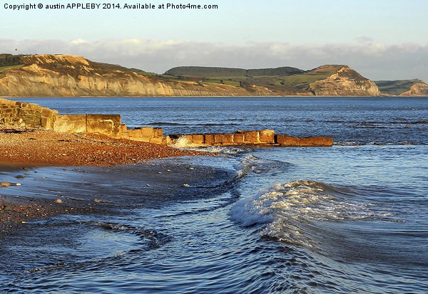GOLDEN CAP AND LYME REGIS WAVES Picture Board by austin APPLEBY