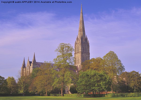 SALISBURY CATHEDRAL SPIRE Picture Board by austin APPLEBY