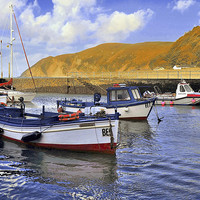 Buy canvas prints of LYNMOUTH HARBOUR DEVON by austin APPLEBY