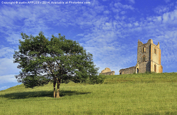 BURROW MUMP TREE AND CHURCH Picture Board by austin APPLEBY