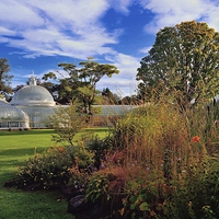 Buy canvas prints of Kibble Palace Botanic Gardens Glasgow  by austin APPLEBY