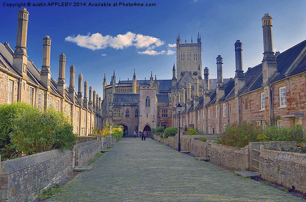  Vicars' Close and Wells Cathedral Somerset Picture Board by austin APPLEBY