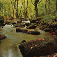 Buy canvas prints of  Golitha Falls Cornwall by austin APPLEBY