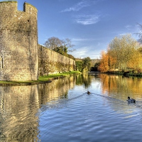 Buy canvas prints of Ducks On The Moat by austin APPLEBY