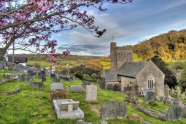  Saint Winifred's Church Branscombe Devon Picture Board by austin APPLEBY