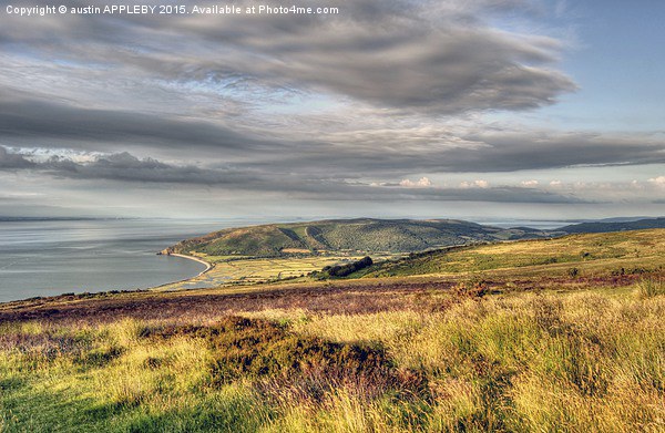  View From Porlock Hill Exmoor Picture Board by austin APPLEBY
