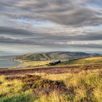 Buy canvas prints of  View From Porlock Hill Exmoor by austin APPLEBY