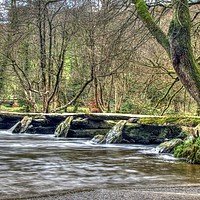 Buy canvas prints of Winter At Tarr Steps Exmoor by austin APPLEBY