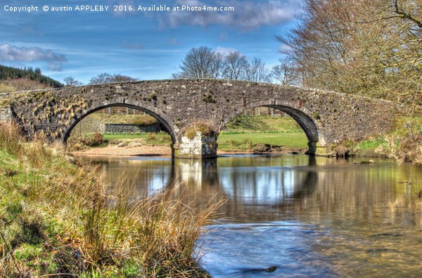 Two Bridges Old Bridge Dartmoor Picture Board by austin APPLEBY