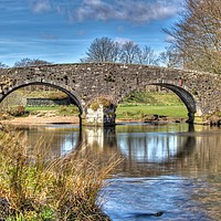 Buy canvas prints of Two Bridges Old Bridge Dartmoor by austin APPLEBY