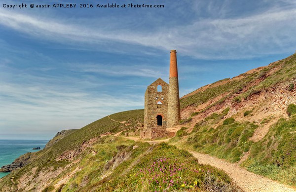 Pathways To Wheal Coates Picture Board by austin APPLEBY