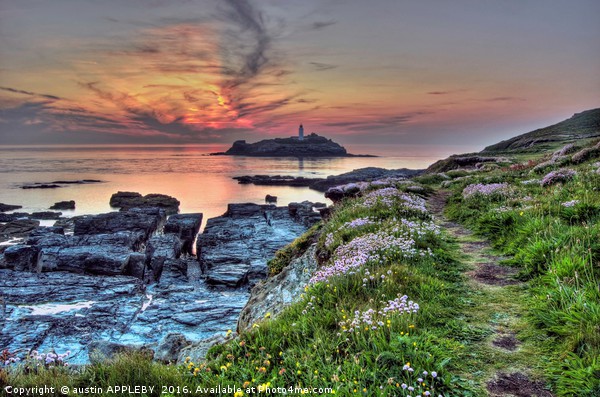 Day Ending At Godrevy Lighthouse Picture Board by austin APPLEBY