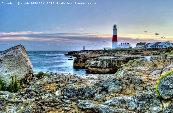 Dusk At Portland Bill Lighthouse Picture Board by austin APPLEBY