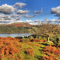 Buy canvas prints of Burrator Reservoir Dartmoor by austin APPLEBY
