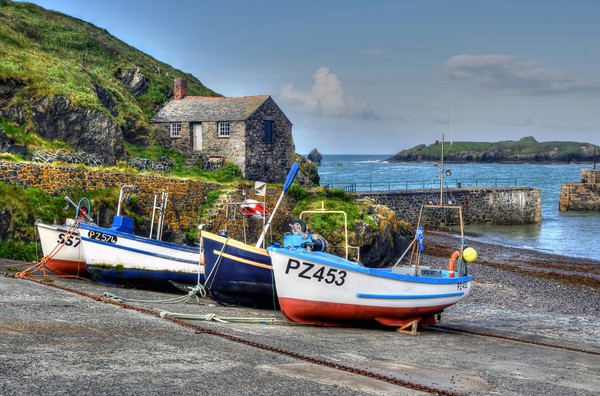 Mullion Cove Harbour Fishing Boats Picture Board by austin APPLEBY