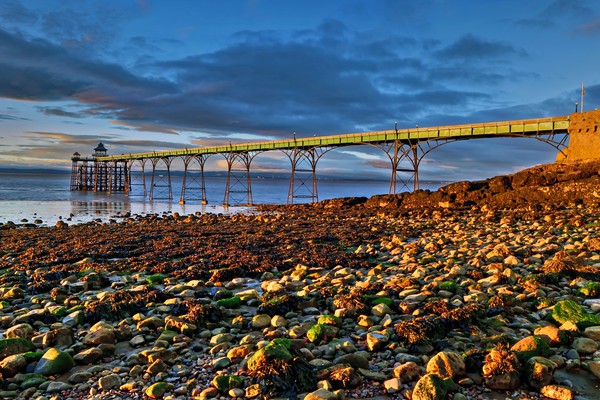 Last light On Clevedon Pier Picture Board by austin APPLEBY