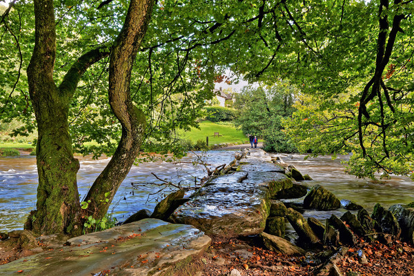 Tarr Steps Exmoor National Park Picture Board by austin APPLEBY