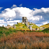 Buy canvas prints of Corfe Castle Dorset At Spring by austin APPLEBY