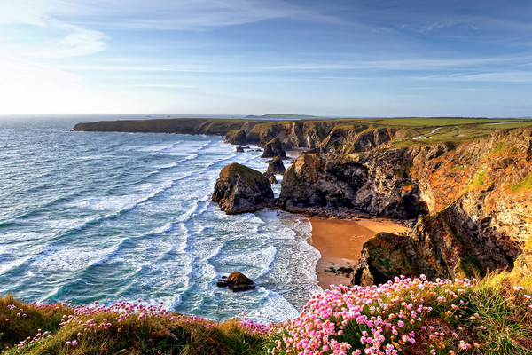 Carnewas at Bedruthan Steps pinks Picture Board by austin APPLEBY