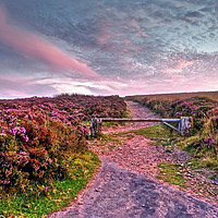 Buy canvas prints of Pathway to Dunkery Beacon Exmoor by austin APPLEBY