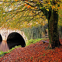 Buy canvas prints of Autumnal Abbey Bridge Tavistock Devon by austin APPLEBY