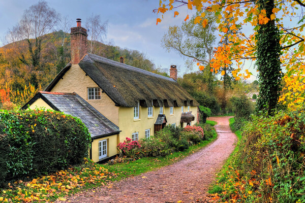 Exmoor Cottage Dunster Somerset Picture Board by austin APPLEBY