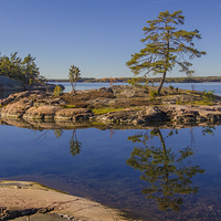 Buy canvas prints of  Baltic Reflection by Alex Millar