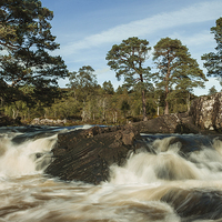 Buy canvas prints of  River Affric by Alex Millar