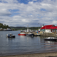Buy canvas prints of  Harbour in Oban by Alex Millar