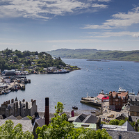Buy canvas prints of  Oban From McCaigs Tower by Alex Millar