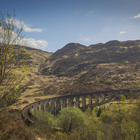 Buy canvas prints of  Glenfinnan Viaduct by Alex Millar