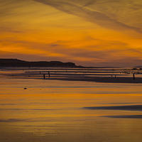 Buy canvas prints of  West Beach Sunset by Alex Millar
