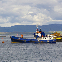 Buy canvas prints of  Oban Moored Boats by Alex Millar