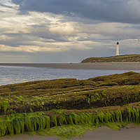 Buy canvas prints of Covesea Lighthouse by Alex Millar
