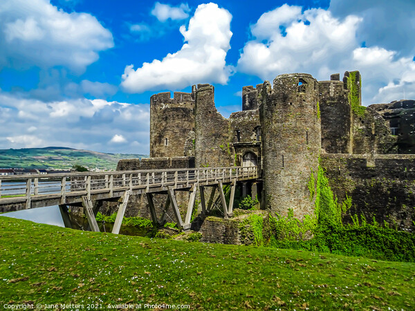 Caerphilly Castle  Picture Board by Jane Metters