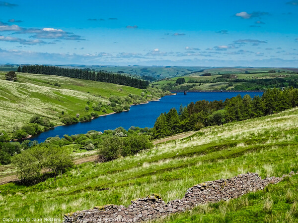 Cray Reservoir  Picture Board by Jane Metters