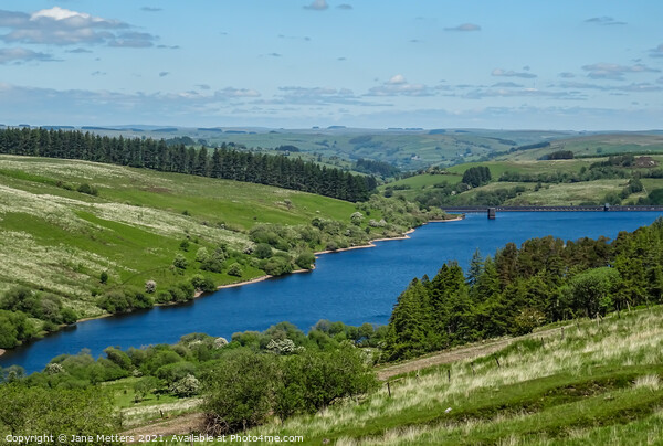 Cray Reservoir  Picture Board by Jane Metters