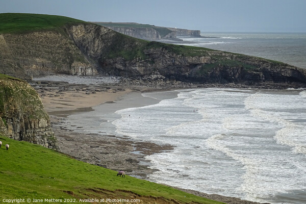 Dunraven Bay  Picture Board by Jane Metters