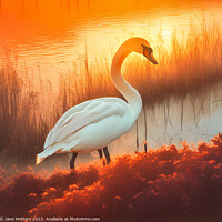 Buy canvas prints of A Majestic Swan by Jane Metters