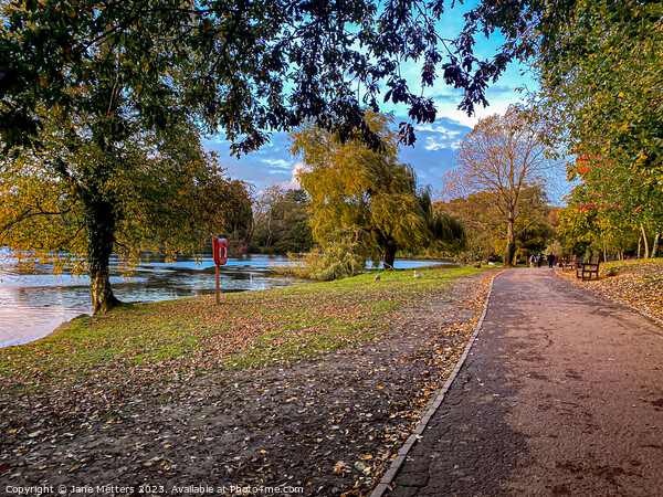 Roath Park Cardiff Picture Board by Jane Metters