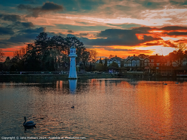 Sunset at Roath Park Picture Board by Jane Metters